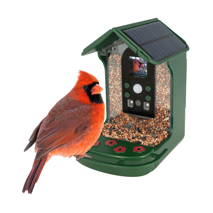 Caméra de mangeoires à oiseaux Bresser