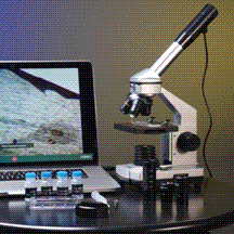 Explore One 40x-1024x Microscope — Explore Scientific